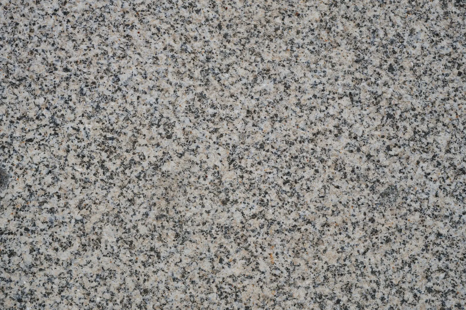 Gros plan sur la texture mouchetée d'un granit